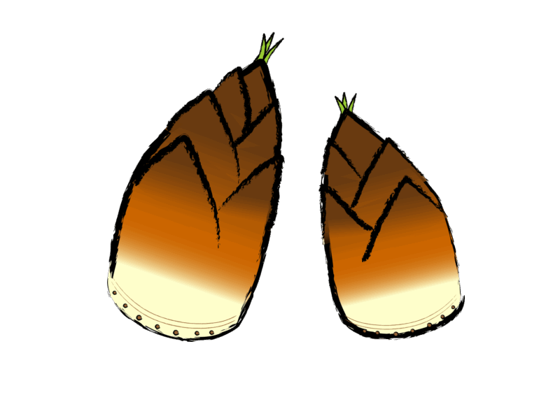 タケノコイラスト