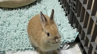 今年のGWは波乱万丈？