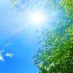 夏