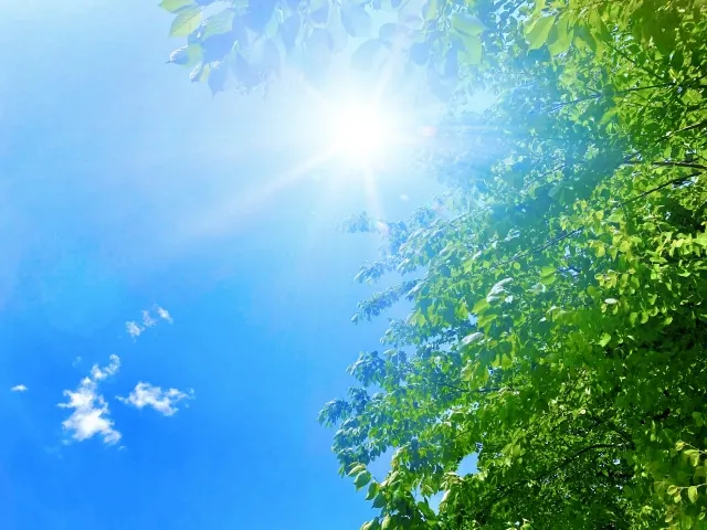 夏