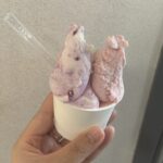 ジェラート