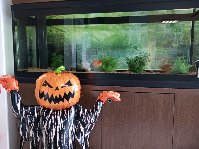 ハロウィンの装飾3