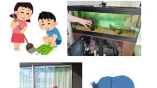 1年の感謝を込めて、今年最後の大掃除🧹